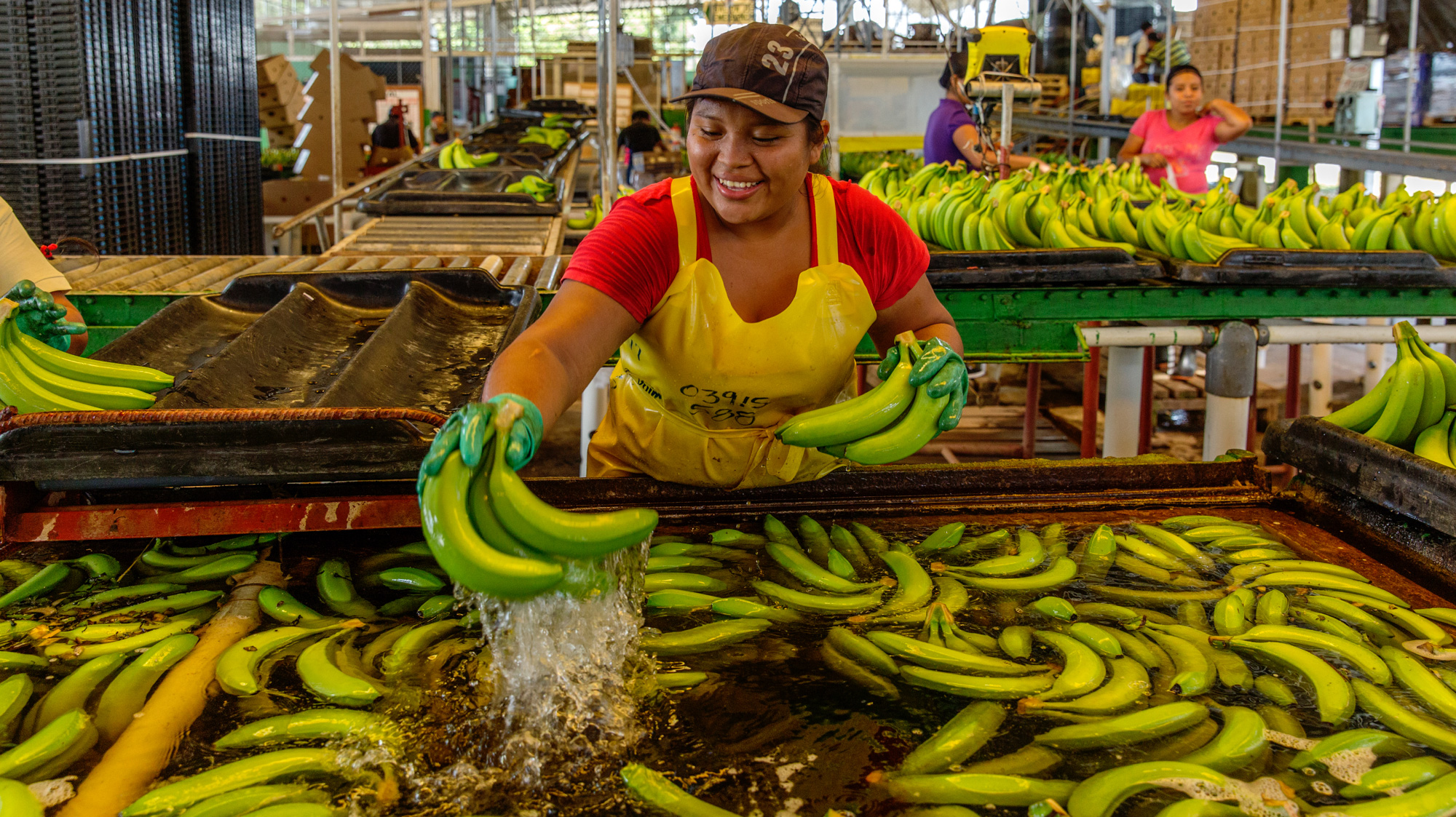 Woman cleaning bananas