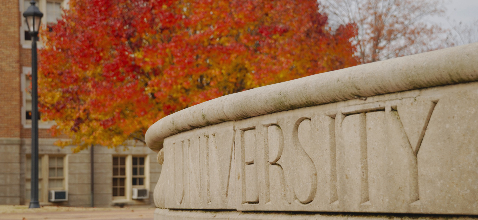 Common App Senior Living Hero