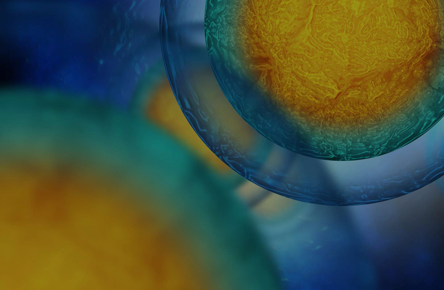 Markets Publishing Hero Image