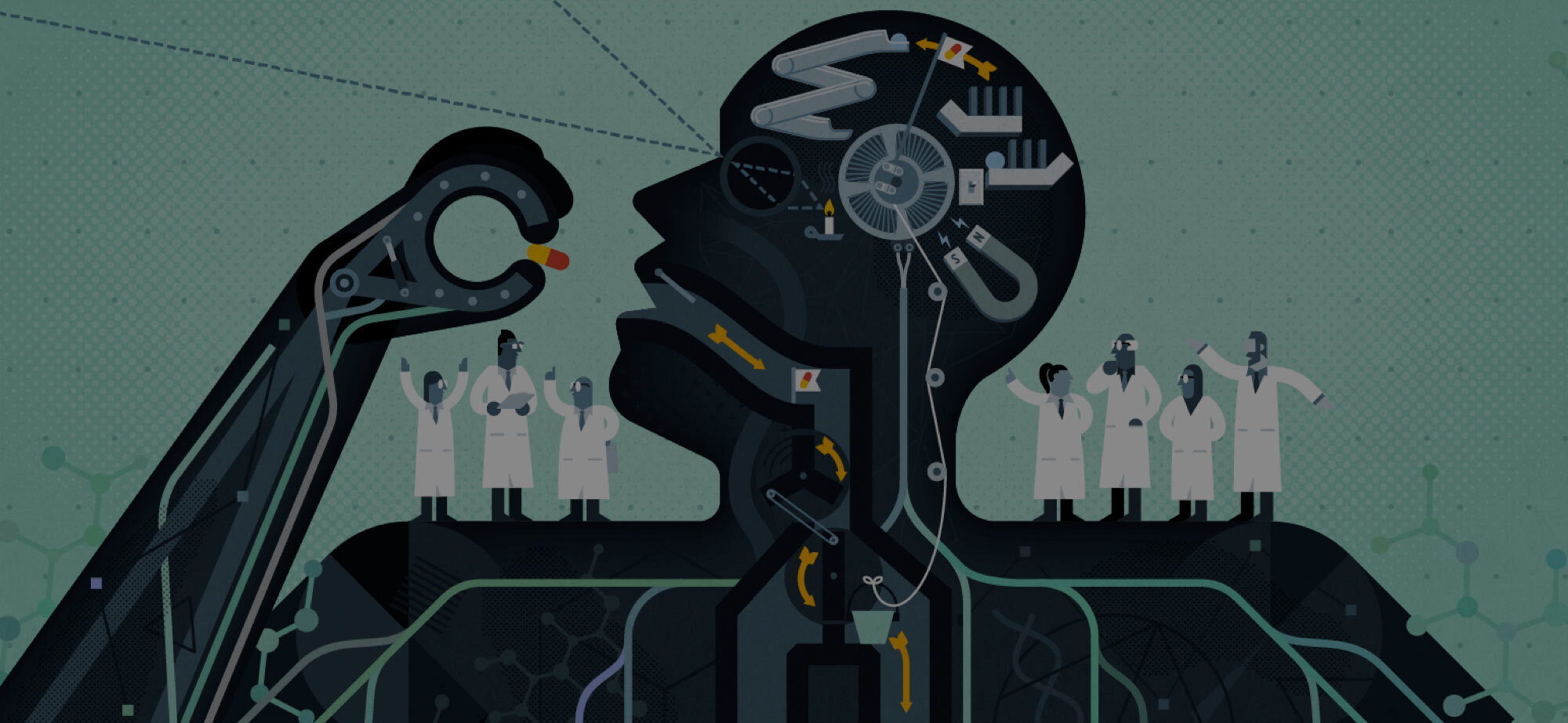 Knowable Magazine illustration hero