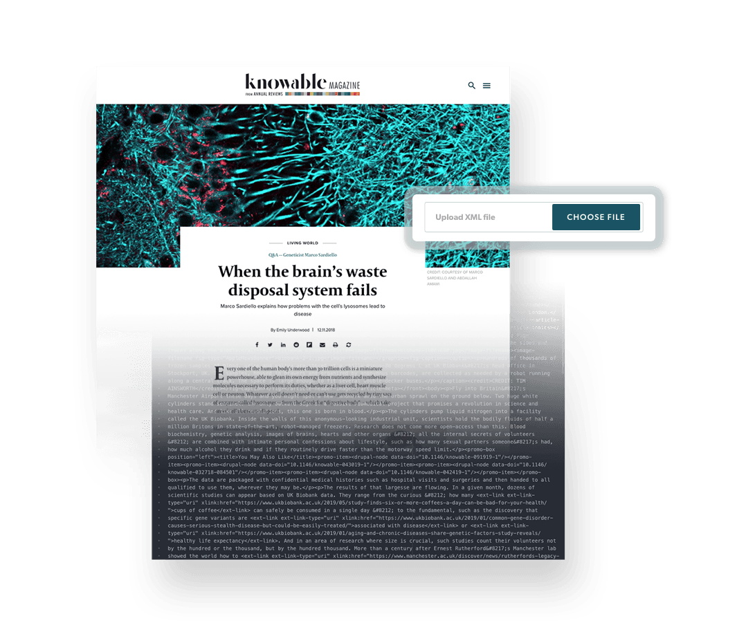 Easy backend experience