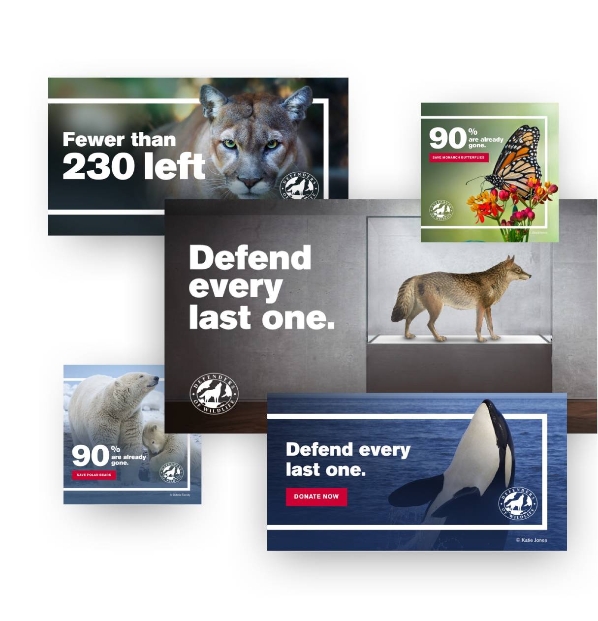 Defenders of Wildlife donation ads