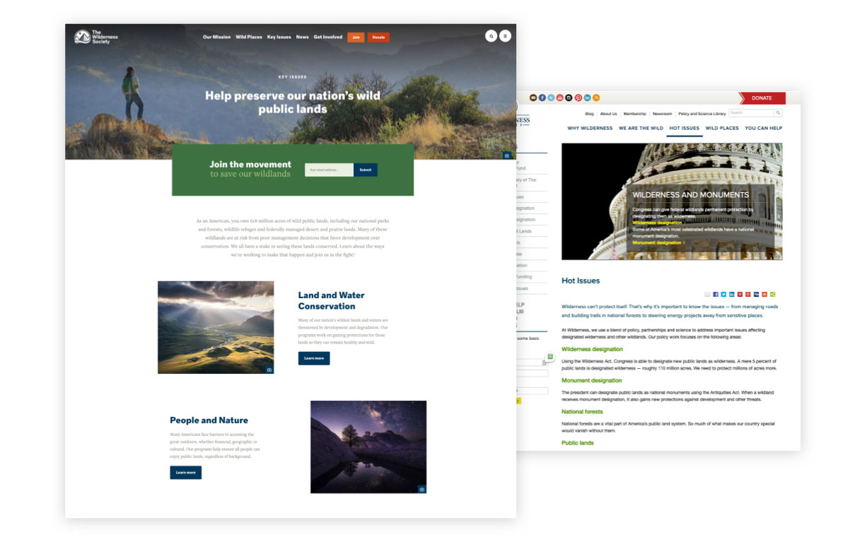 Wilderness Website - Panel 2 Image